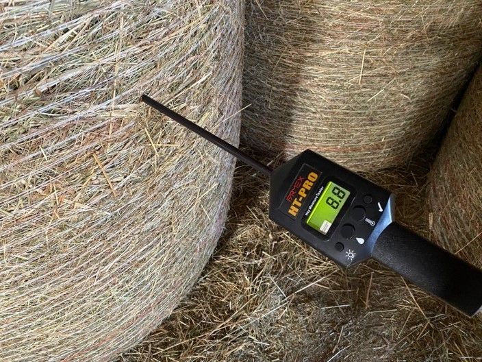 Heuballen mit Sonde.jpg © Pferdezuchtverband Heuballen mit Sonde.jpg © Pferdezuchtverband