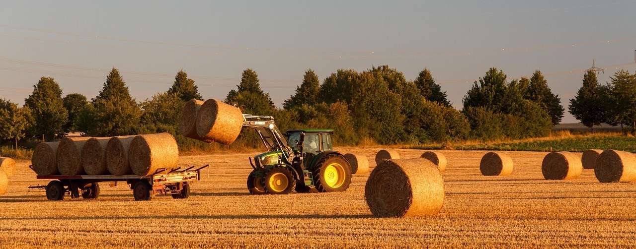 straw-6851886_1280.jpg © pixabay