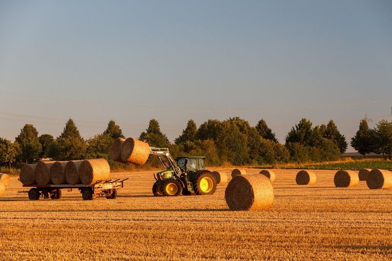 straw-6851886_1280.jpg © pixabay