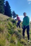 Hochalm - Kiegerl 2.jpg © LK Stmk