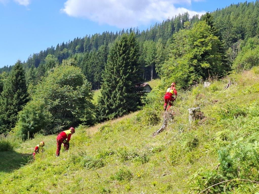 Hofbaueralm 5.jpg © LK Stmk