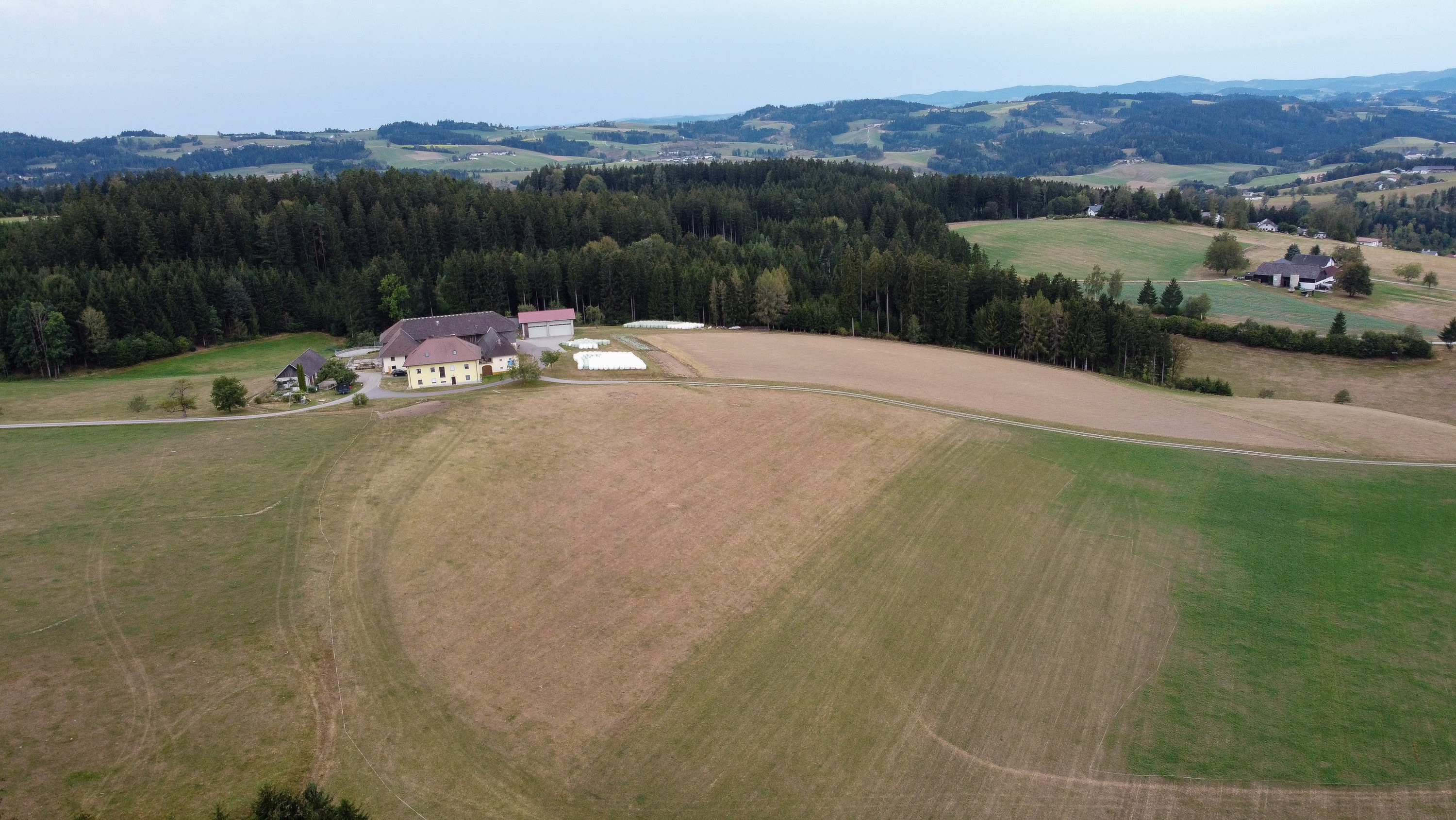 Engerlingschäden © Martin Gaisbauer