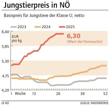Grafik Stierpreis 30_2025.jpg © LK NÖ Grafik Stierpreis 30_2025.jpg © LK NÖ