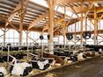 Sauberer Stall AK Milch © Arbeitskreis Milch Steiermark