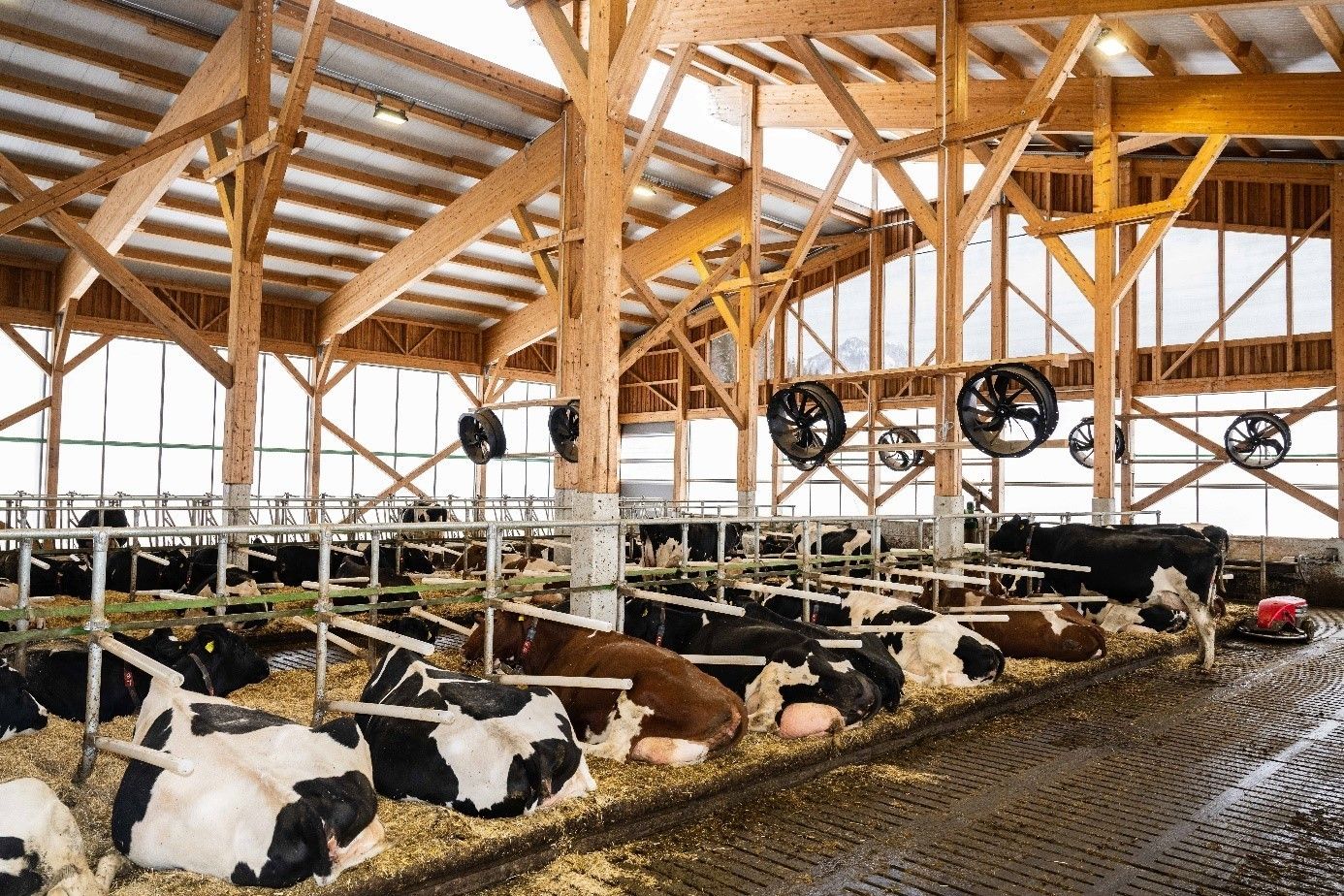 Moderner Kuhstall © Arbeitskreis Milch Steiermark