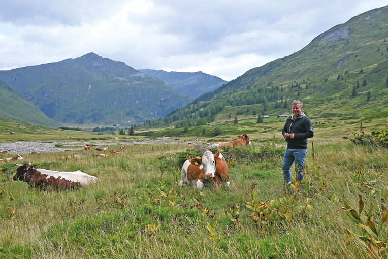 Größte Alm Salzburgs setzt auf Gemeinschaft und Qualität.jpg © Mooslechner