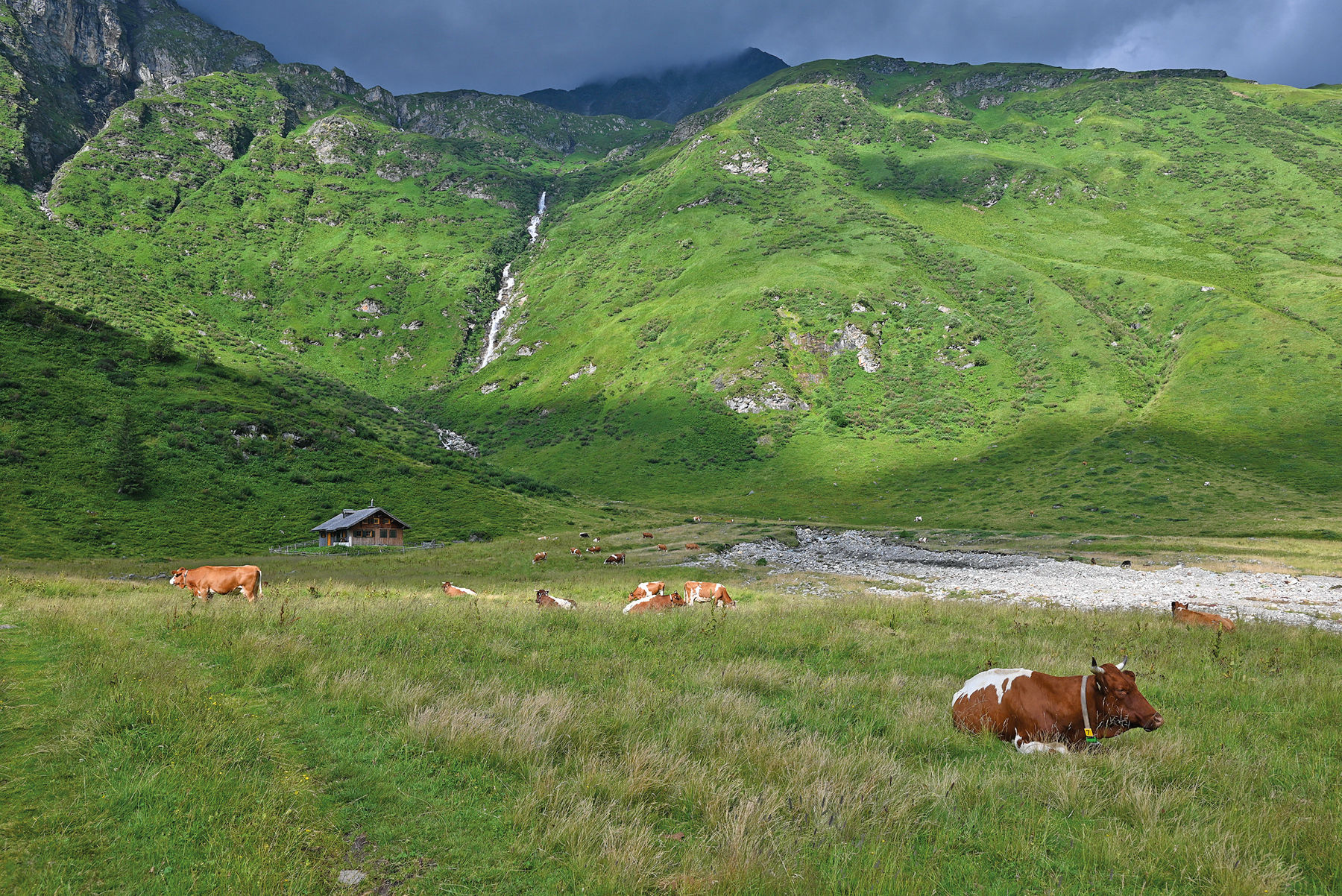 Größte Alm Salzburgs setzt auf Gemeinschaft und Qualität.jpg © Mooslechner