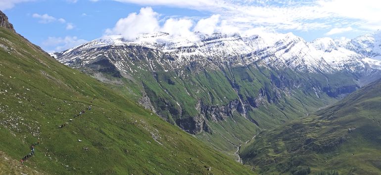 © Fertschey © Fertschey