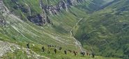 Fleißtal Berge Foto fertschey.jpg © Fertschey