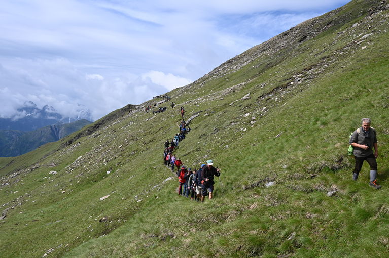 © Alm- und Bergbauern © Alm- und Bergbauern