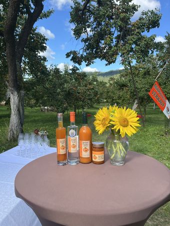 IMG_2781.jpg © BBK Krems IMG_2781.jpg © BBK Krems