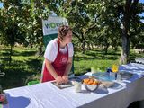 IMG_2850.jpg © BBK Krems