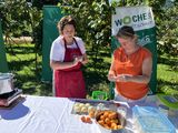 IMG_2855.jpg © BBK Krems