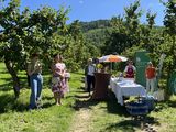IMG_2869.jpg © BBK Krems