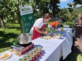 IMG_2877.jpg © BBK Krems