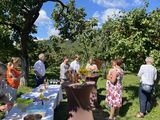 IMG_2884.jpg © BBK Krems