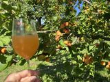 IMG_2888.jpg © BBK Krems
