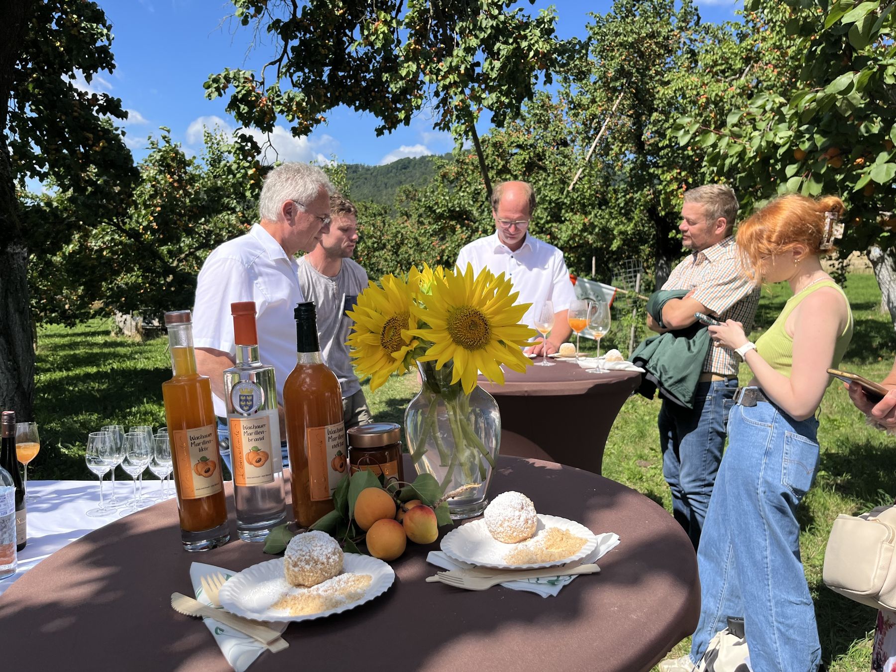 IMG_2914.jpg © BBK Krems