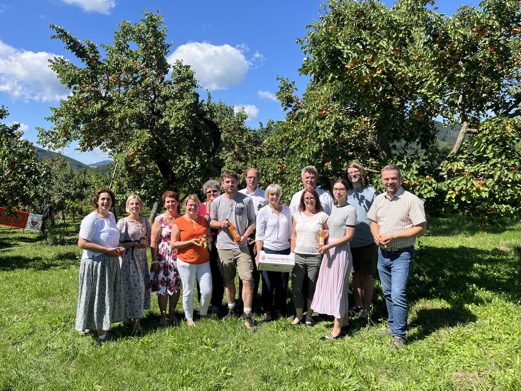 IMG_2920.jpg © BBK Krems