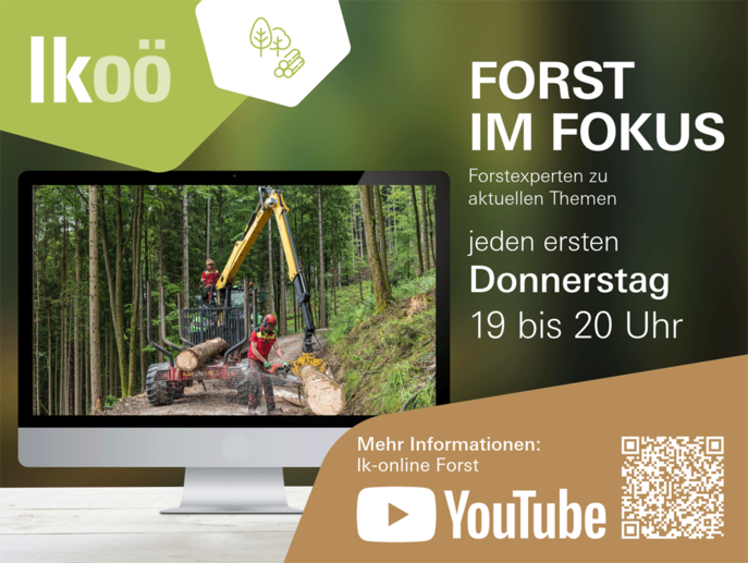 Expertengespräche Forst im Fokus © Archiv