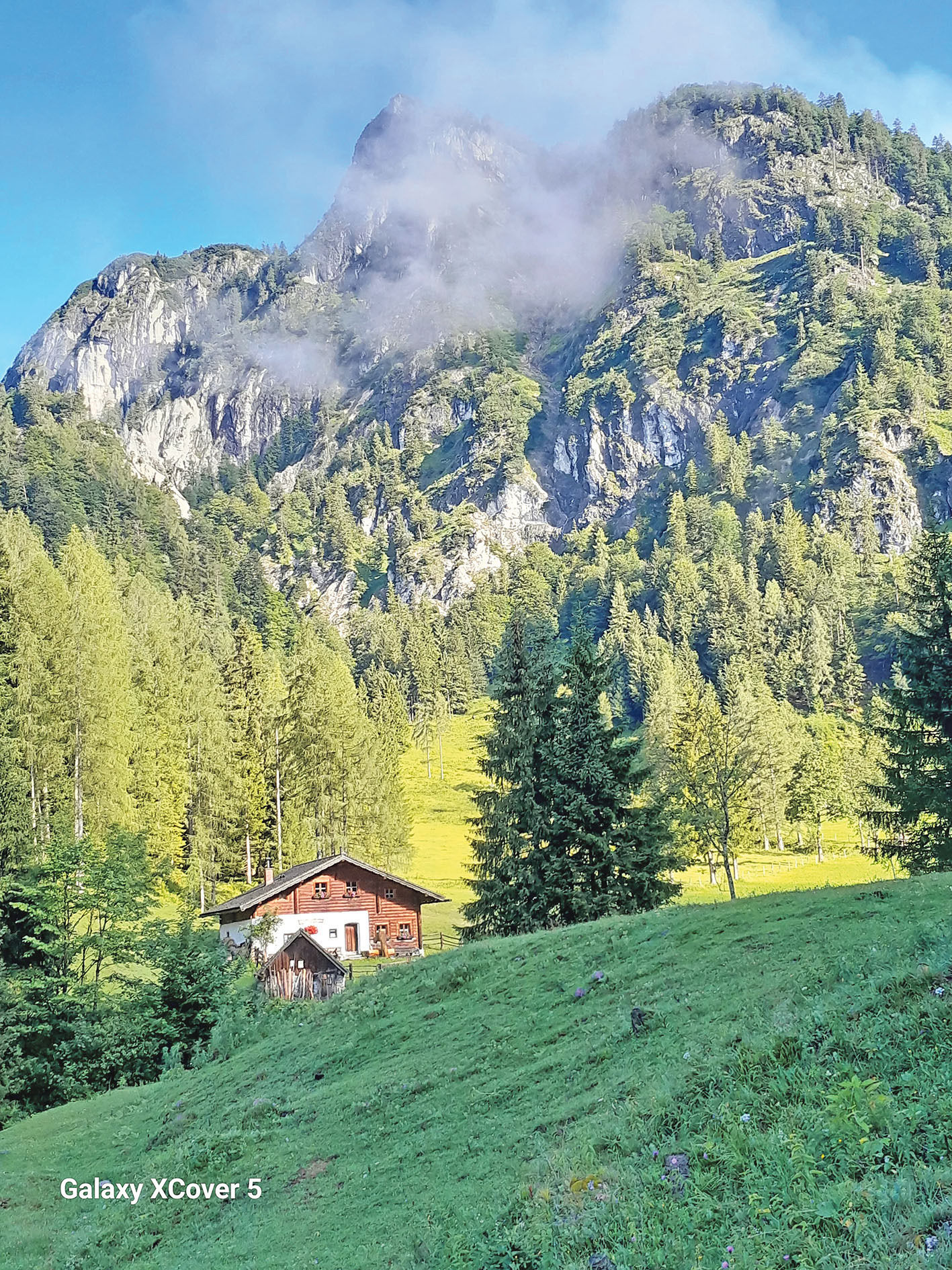 Mit viel Leidenschaft für Hof und  Familie.jpg © Hatheier