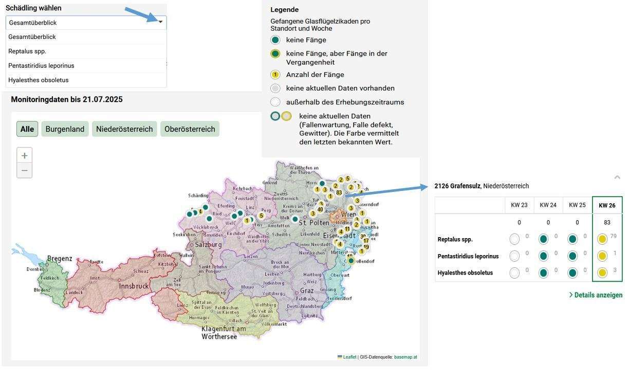Monitoringkarte Glasflügelzikaden auf warndienst.at.jpg © www.warndienst.at