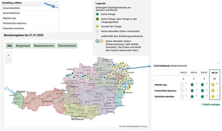 Monitoringkarte Glasflügelzikaden auf warndienst.at.jpg © www.warndienst.at