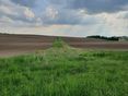 streifenförmige_Biodiversitätsfläche_vonMittedesStreifens_SonnenstrahlenamHorizont_Aug 2022_Sperber Johann © Paula Pöchlauer-Kozel/LK Niederösterreich