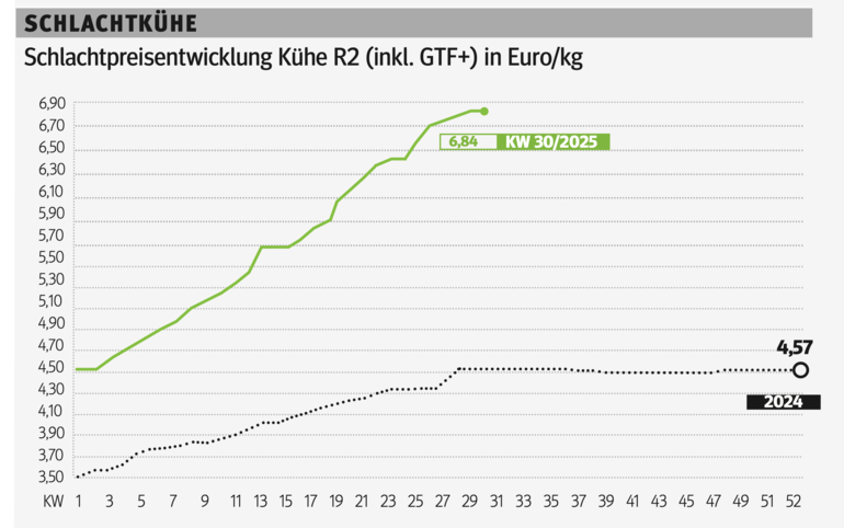 Schlachtkuhgrafik KW 30.png © Grafik RZV