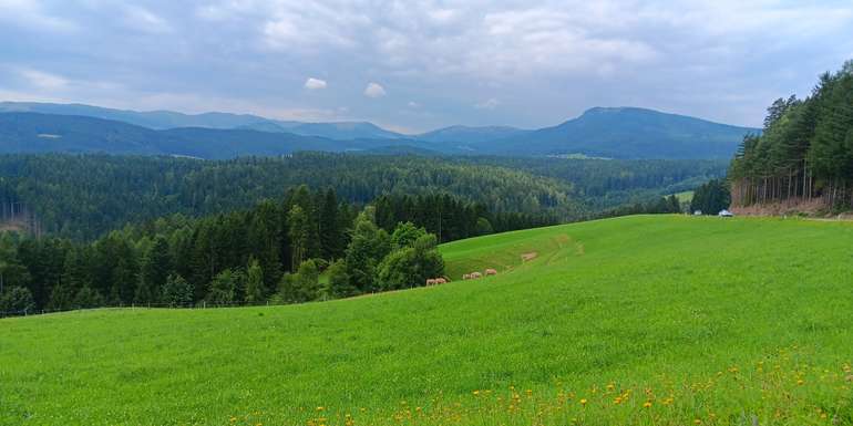 Woche der Land- und Forstwirtschaft: Leibnitz/Deutschlandsberg © BK DL