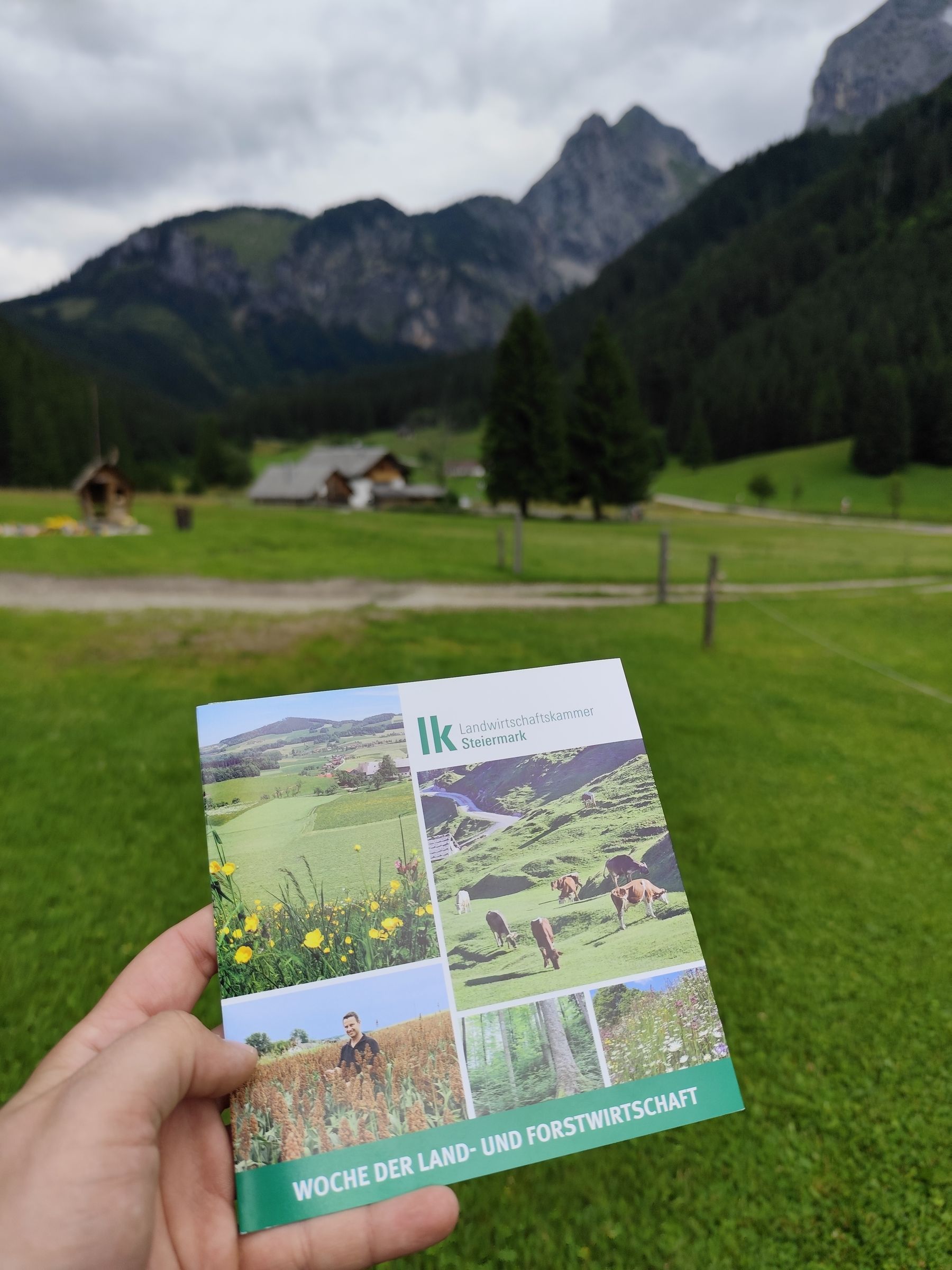© BK Leoben