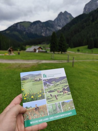 © BK Leoben