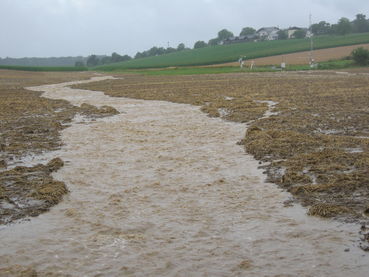 Erosionsschutz und ÖPUL-Maßnahmen.jpg © Bundesamt für Wasserwirtschaft
