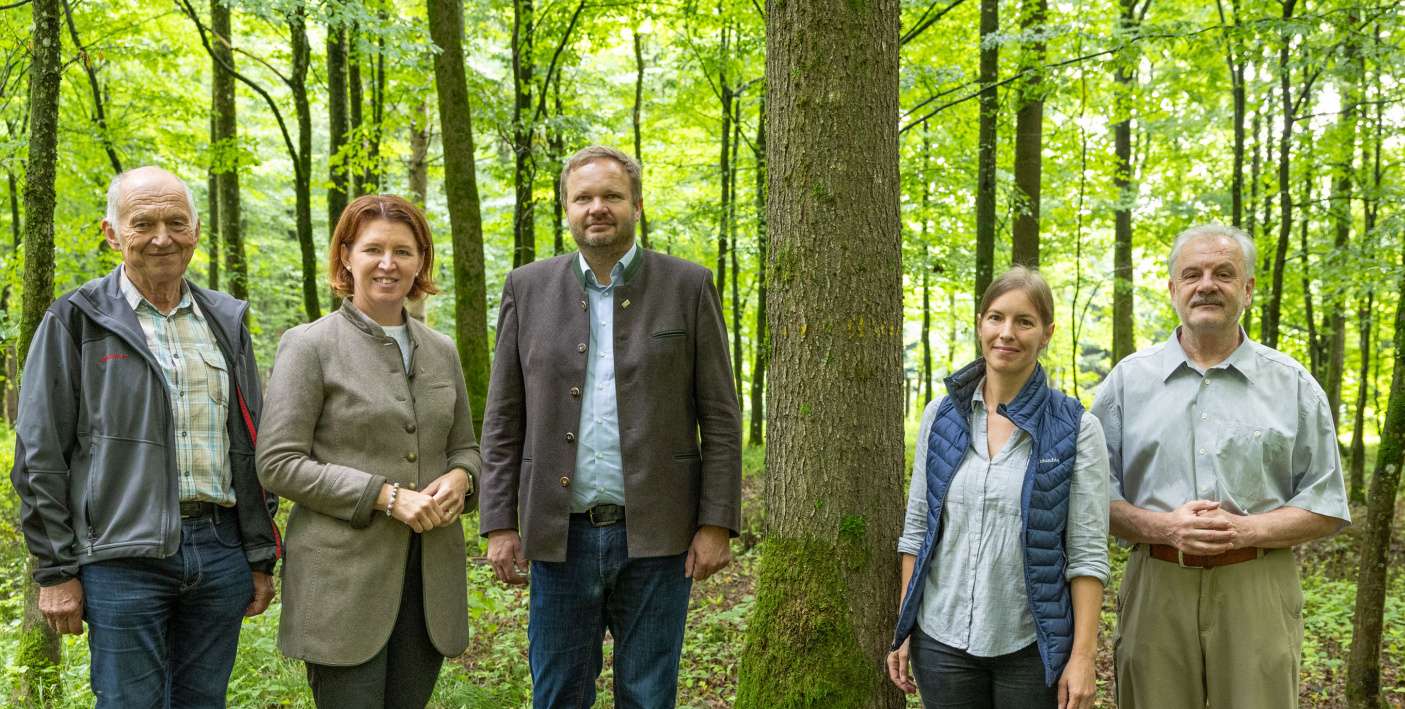 PK Laubwald_c_Land OÖLina Spenlingwimmer.jpg © Land OÖ/Spenlingwimmer