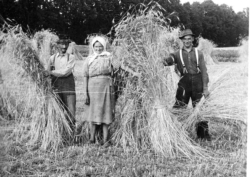 heimat Kornmandln.jpg © Archiv