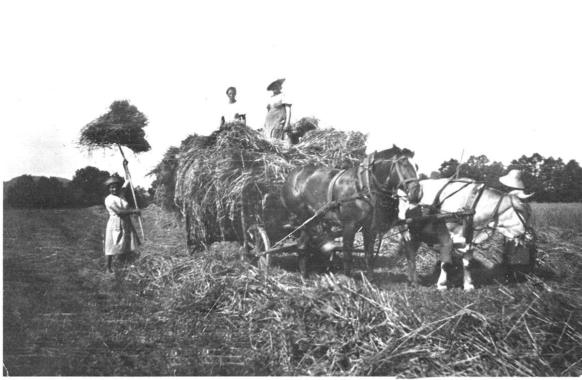 Heuladen.jpg © Archiv