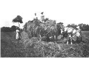 Heuladen.jpg © Archiv