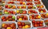 sb31_mt_tomate.jpg © Dürnberger