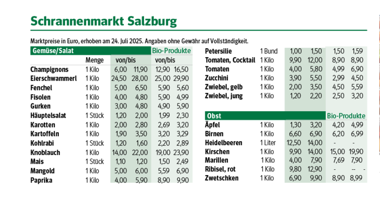Bildschirmfoto 2025-07-29 um 14.23.54.png © Dürnberger