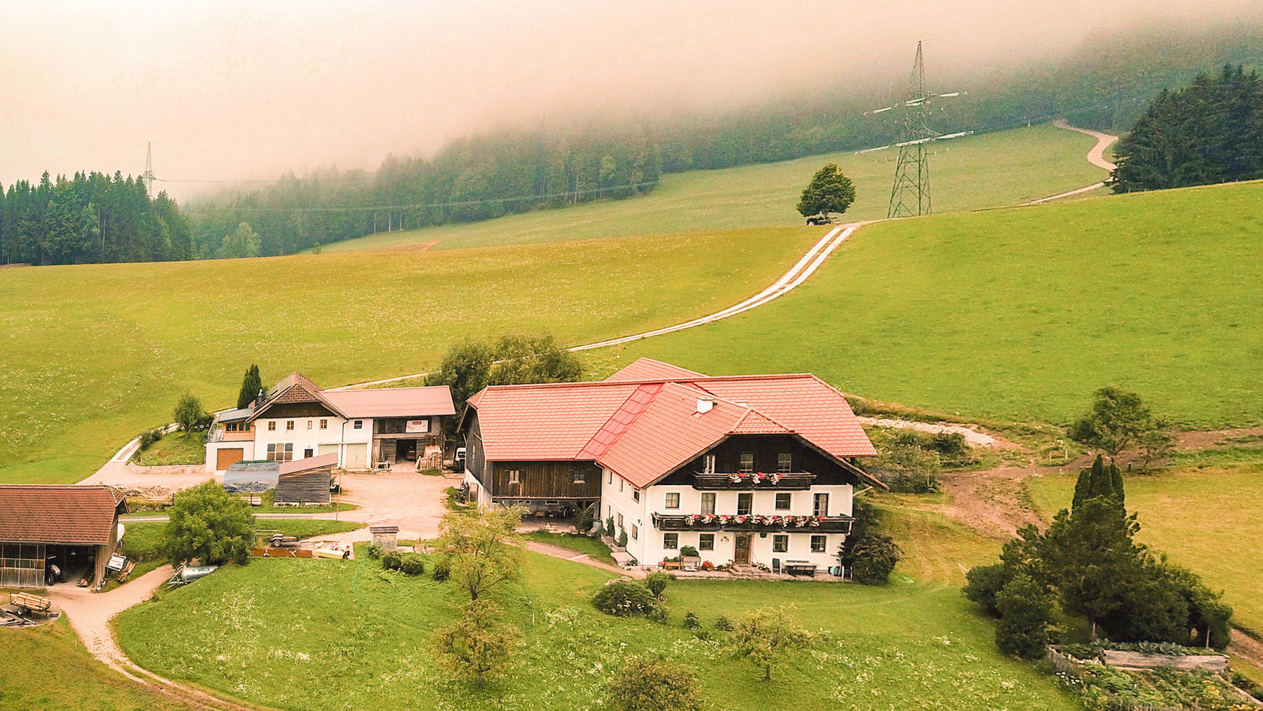 Kalbinnenmast als Alternative zur Milchviehhaltung.jpg © Etter