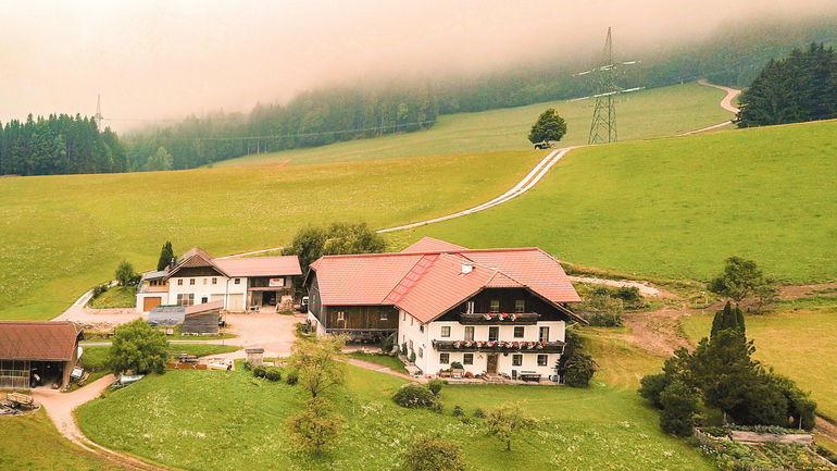 Kalbinnenmast als Alternative zur Milchviehhaltung.jpg © Etter