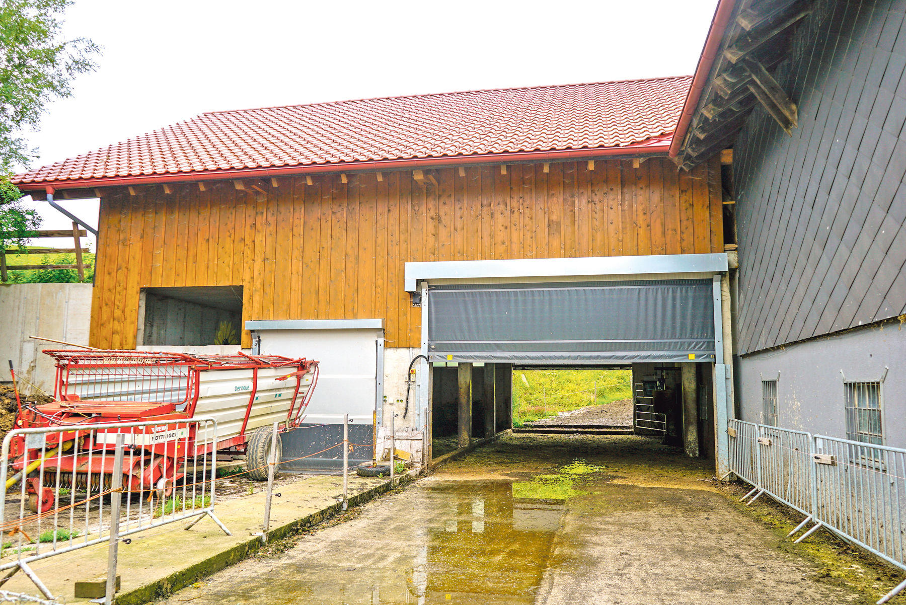 Kalbinnenmast als Alternative zur Milchviehhaltung.jpg © Etter