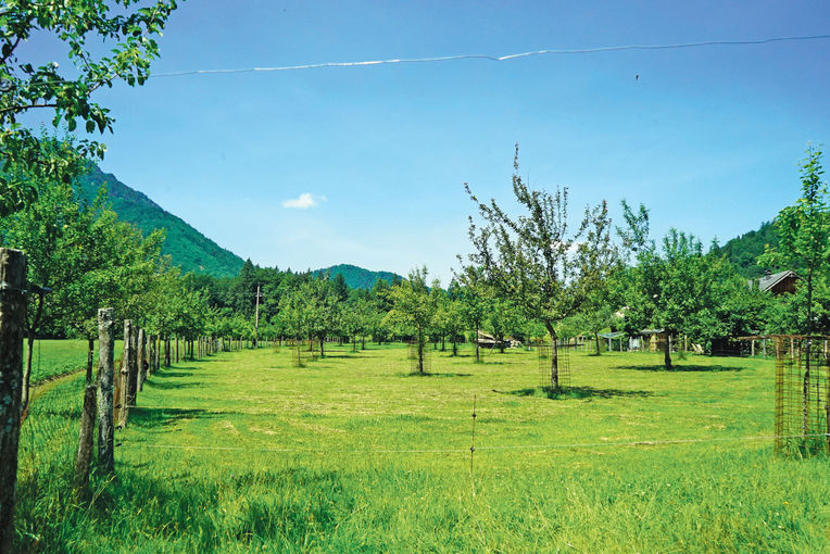 sb31_Obstgarten.jpg © Etter