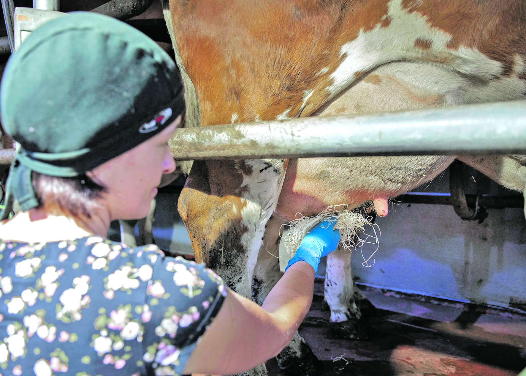 Hofarbeit.jpg © BauernJournal