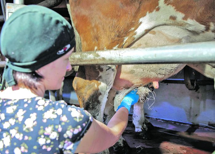 [1753870150004741_1.jpg]