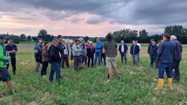 Gemüsefeldbegehung in Pupping, 30. Juli 2025