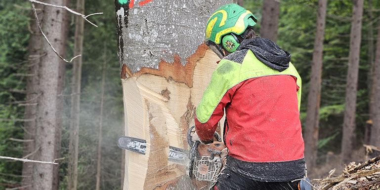 Aktive Waldbewirtschaftung © LK Vbg.