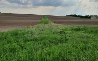 streifenförmige Biodiversitätsfläche © LK Niederösterreich/DI Katharina Heiderer