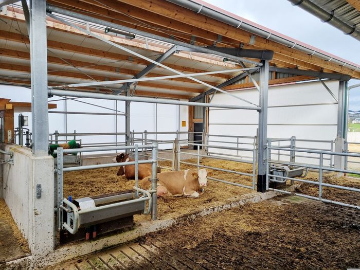 [1754034844348663_1.jpg]