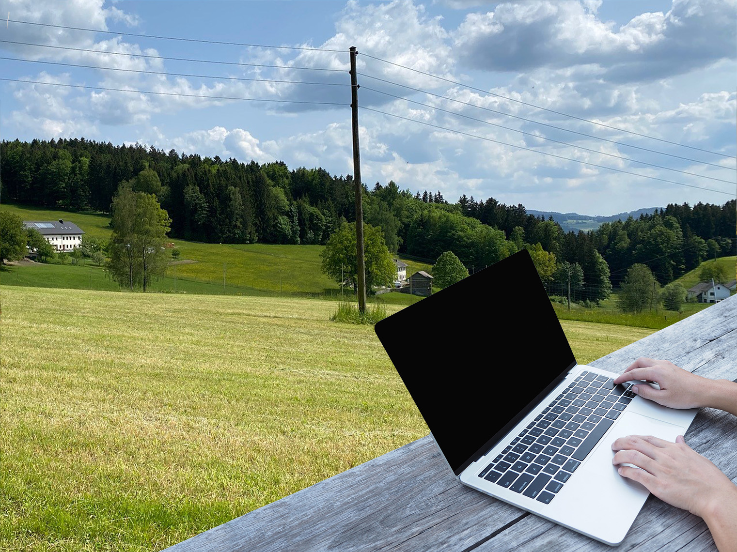 AdobeStock_408483270_Onlinekurse.png © stock.adobe.com / LFI